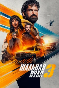 Шальная пуля 3