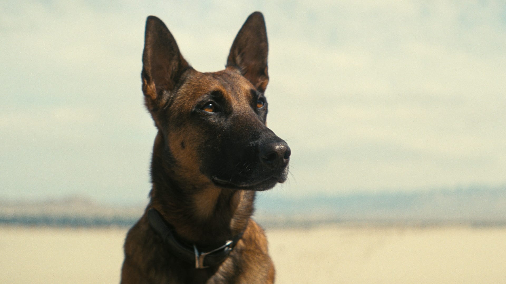 Сезон 1 Серия 7