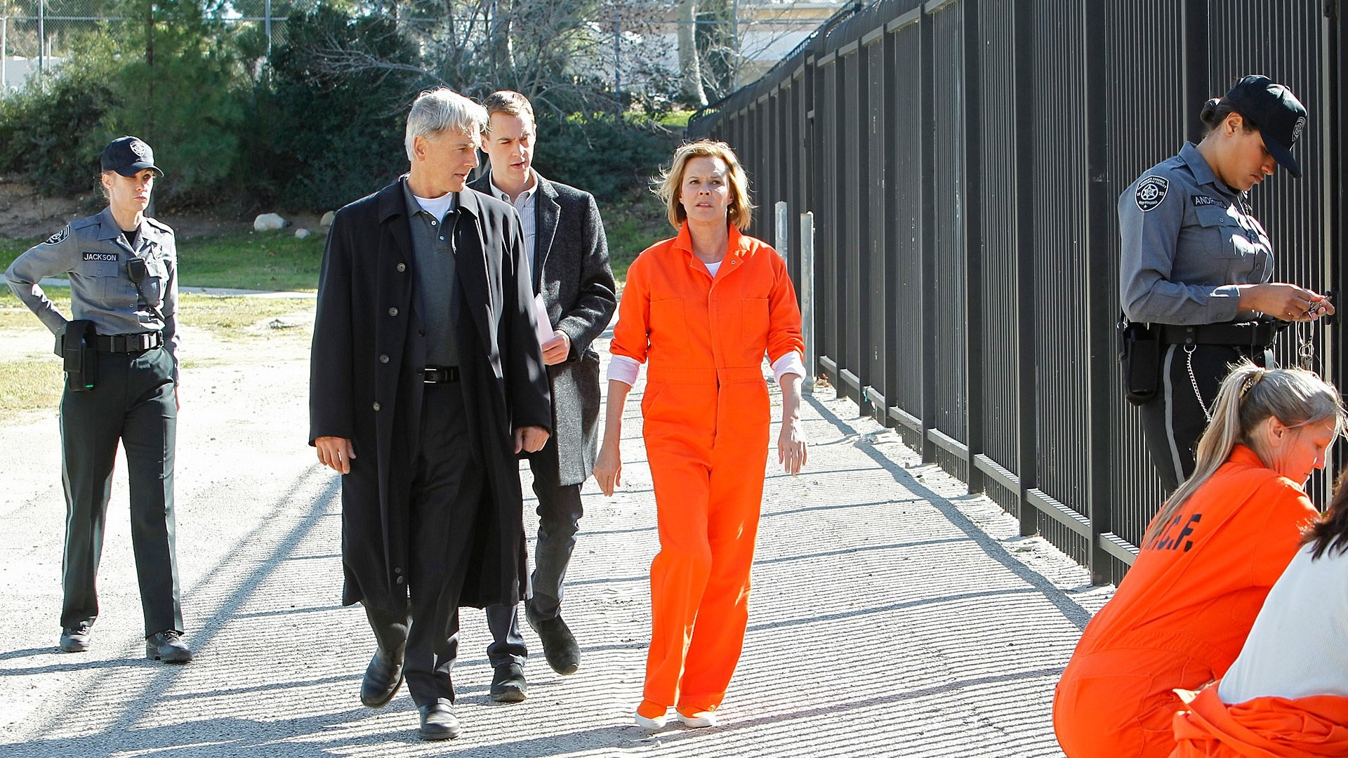 Сезон 8 Серия 17