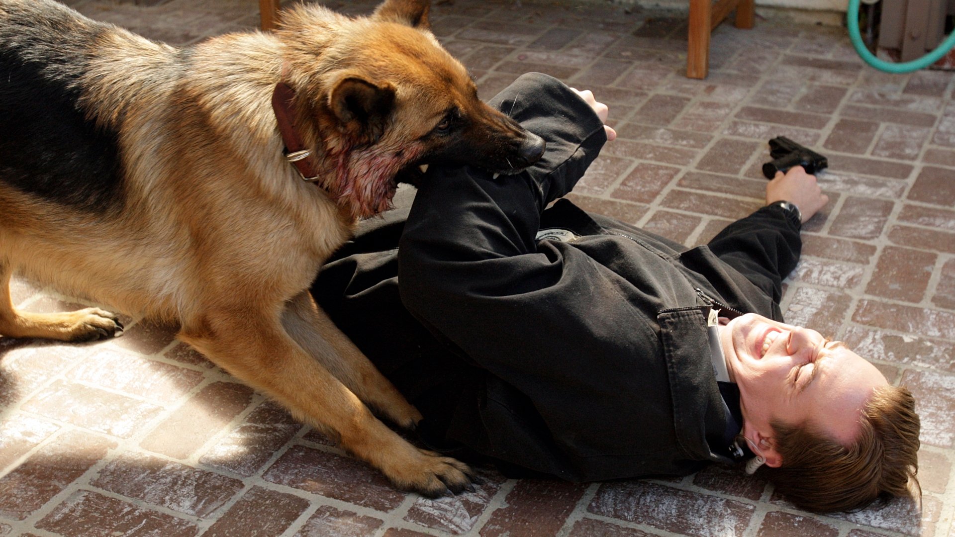 Сезон 5 Серия 13