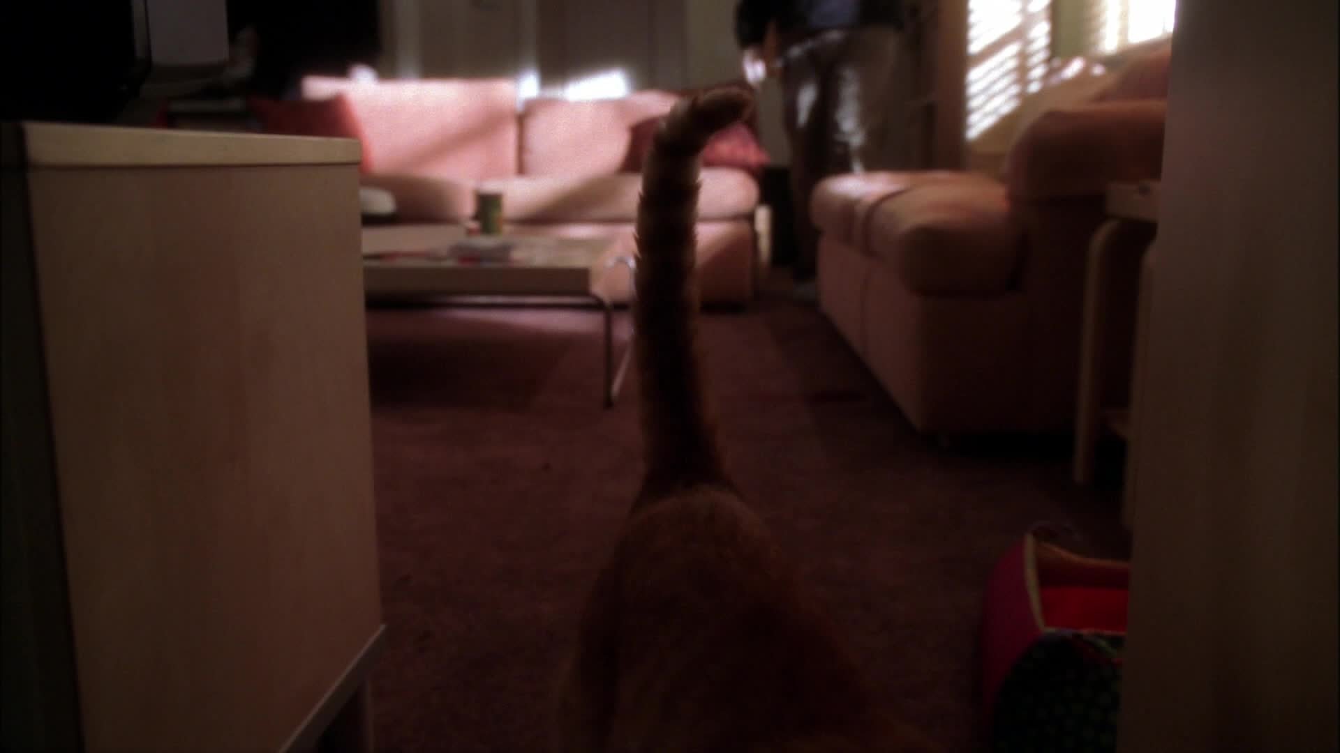 Сезон 3 Серия 20