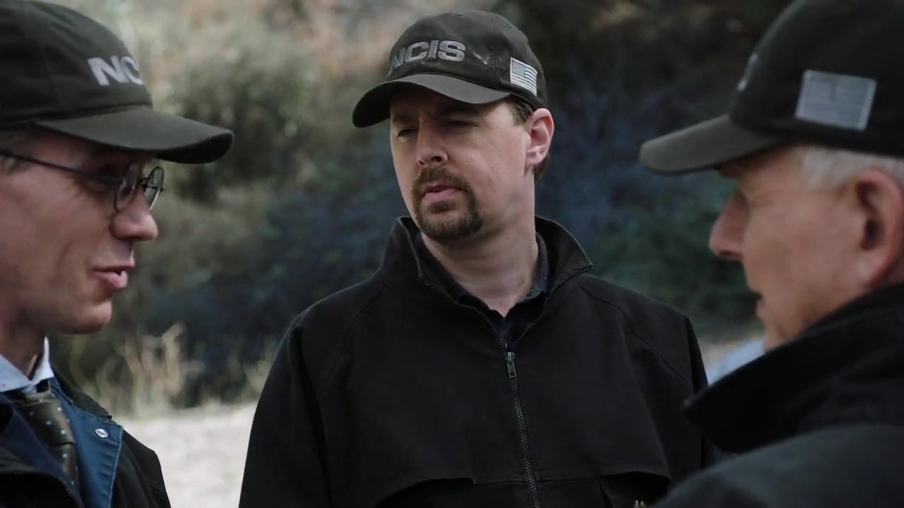 Сезон 17 Серия 8